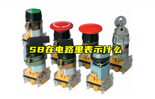 【科普視頻】SB在電路里表示什么？